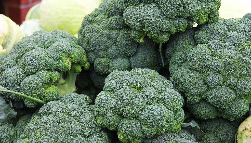 Découvrir les super-aliments de votre région