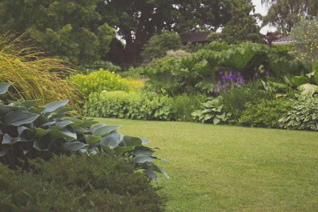 Les erreurs fréquentes à éviter en aménageant son jardin